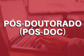 Perfil de Pós-Doutorado em Estudos e Avanços Metodológicos em Record Linkage
